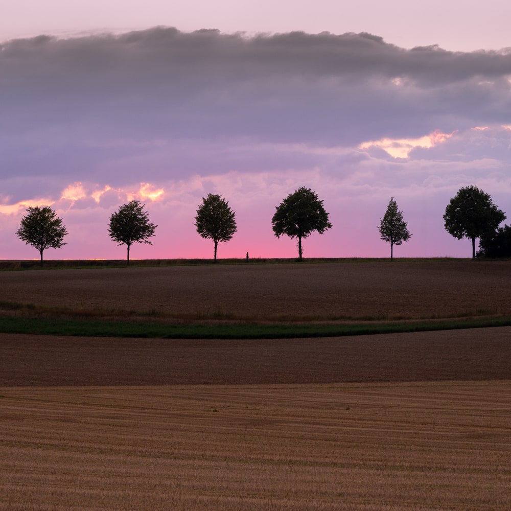 The setting sun casts a pink glow on the clouds as a person walks along a path as a silhoutte.