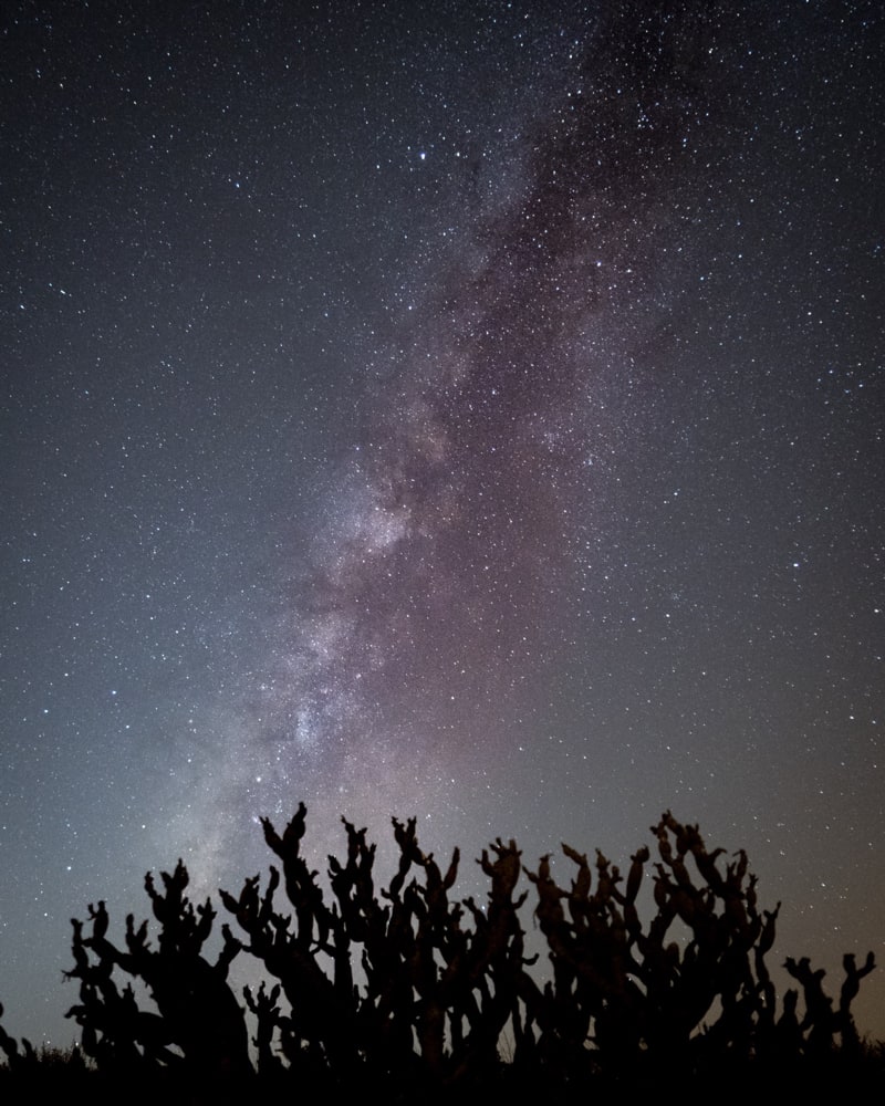 The core of the milky way rises just above a bush in October