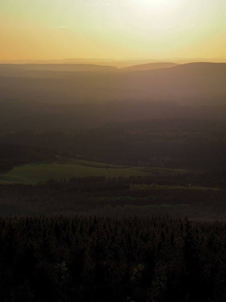 A green meadow is painted in golden light by the setting sun in the background.