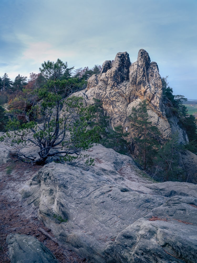 The "Hamburger Wappen" (a rock formation) at blue hour with a lone tree in the foreground.