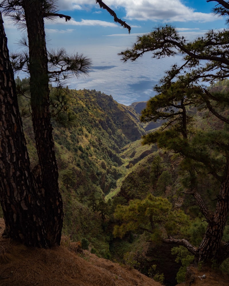 Green barranco in front of the atlantic ocean