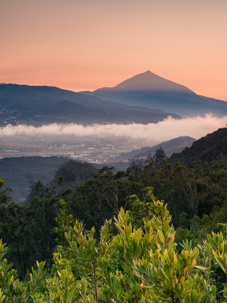 Sunset seen from the Anaga mountains. A bank of clouds is rolling over the city of La Laguna de San Cristobal with the Teide in the far background.