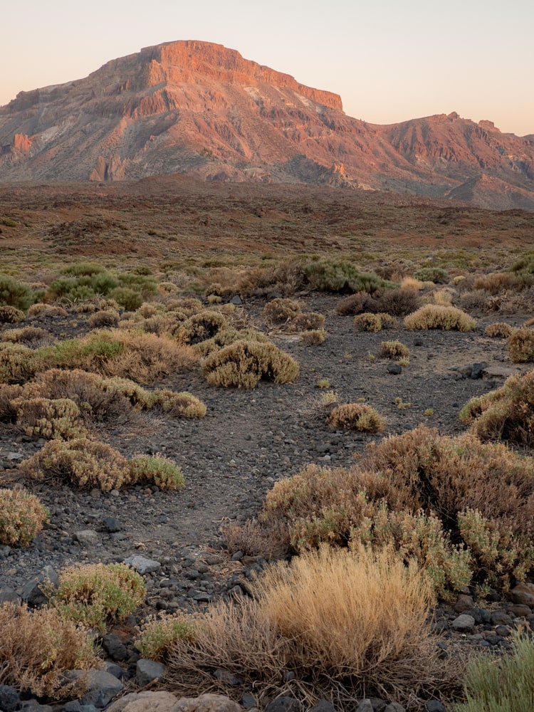 Part of the wall of the big caldera of the Canadas Blancas in Tenerife lit by the setting sun with some scrub in the foreground.