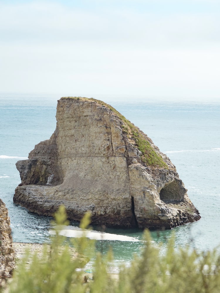 View of Shark Fin Cove from Highway 1